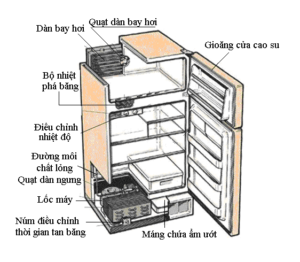 Vệ sinh tủ lạnh,Cấu tạo tủ lạnh